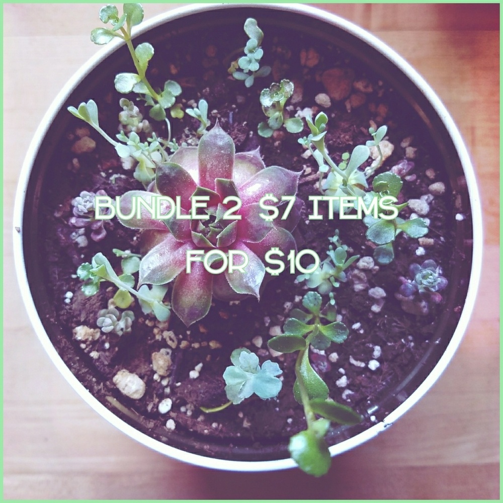 🌵SPECIAL Bundle 2 $7 items for $10!🌵